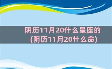 阴历11月20什么星座的(阴历11月20什么命)