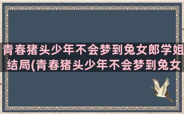 青春猪头少年不会梦到兔女郎学姐结局(青春猪头少年不会梦到兔女郎学姐的结局是什么)